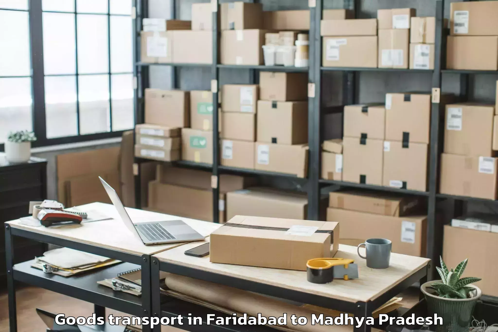 Quality Faridabad to Ujjain Goods Transport